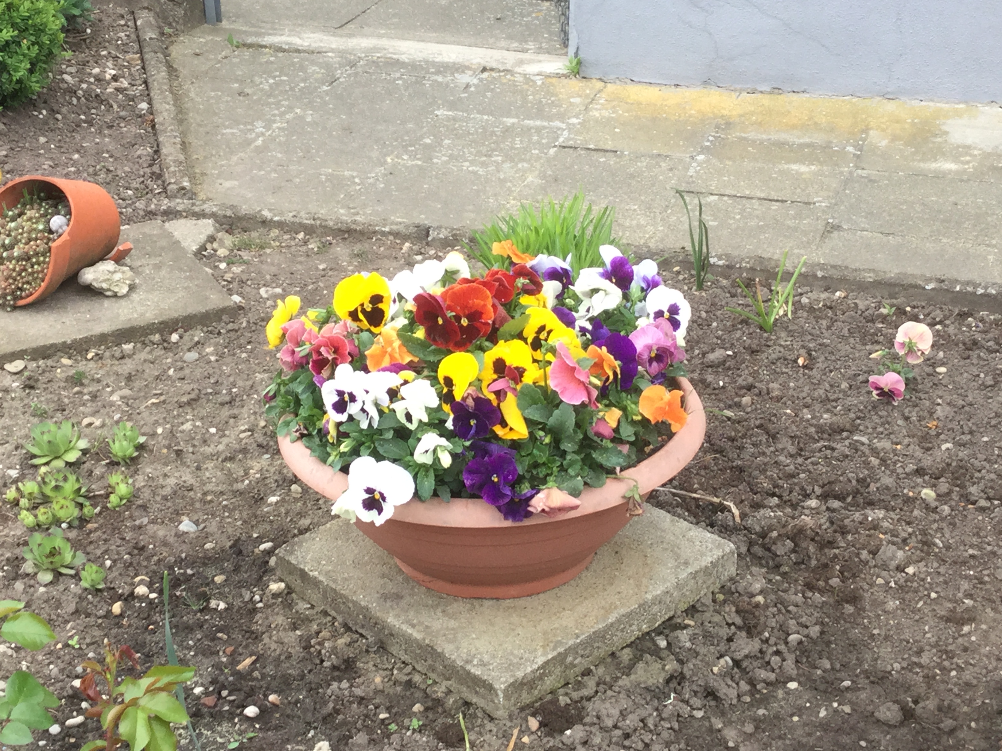 GARDEN CLUB PRESENTATION