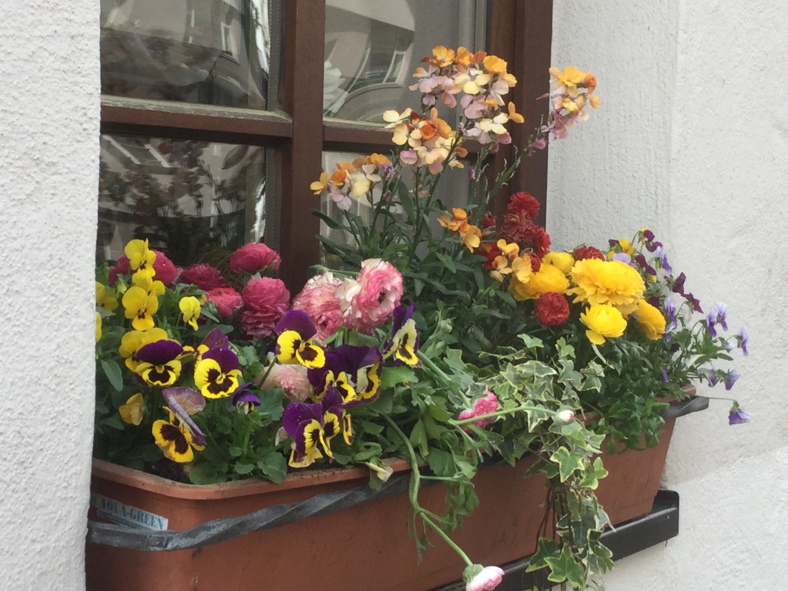 GARDEN CLUB PRESENTATION